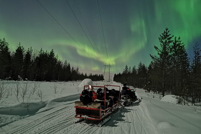 Northern Lights Sledge Ride - Stops for Fire, Juice, and Aurora Watching