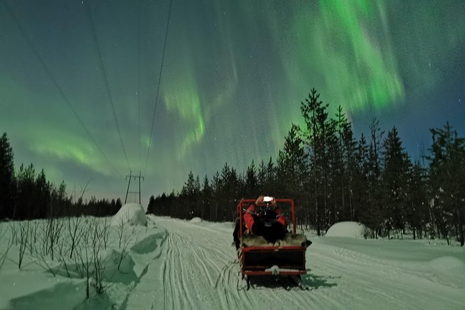 Northern Lights Sledge Ride - How Realistic Is the Northern Lights Chance?