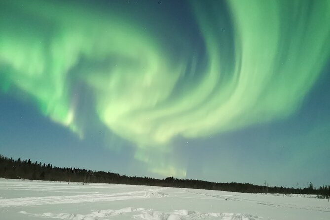 Northern Lights Sledge Ride - Who Will Enjoy This Most?