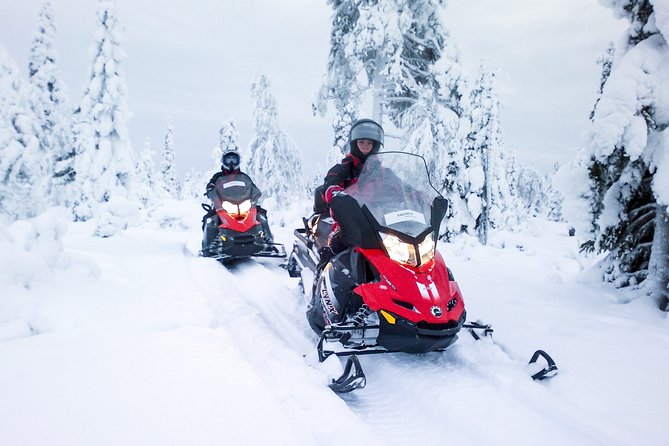 Northern Lights Snowmobile Driving Safari - Who will enjoy this five-hour Arctic night