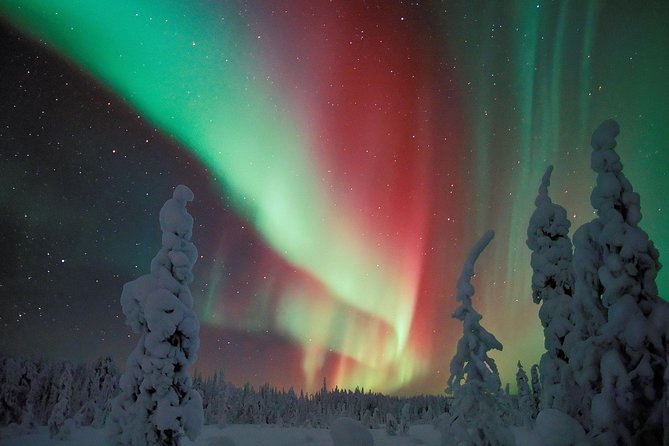 Northern Lights Snowmobile Safari from Rovaniemi with Campfire Picnic - Riding 20 to 30 kilometers through snowy woods