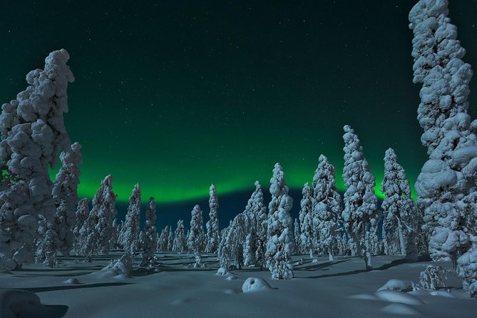 Northern Lights Snowmobile Safari from Rovaniemi with Campfire Picnic - Getting dressed for Arctic night riding