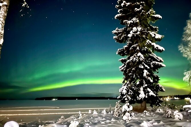 Northern Lights Tour Snowmobile Driving - Key points before you book