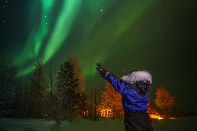 Northern lights tour to Lake Inari from Ivalo, Reindeers & Dinner - Across the snow on a covered sleigh