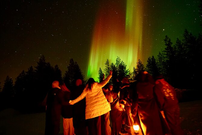 Northern Lights Trip to a Magical Place in Lapland - A dark Lapland sky is the main event