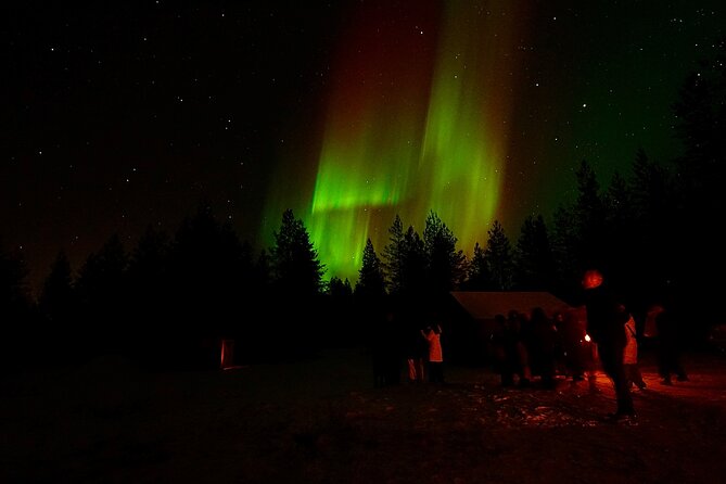 Northern Lights Trip to a Magical Place in Lapland - A bus-based outing, not a tiny private chase