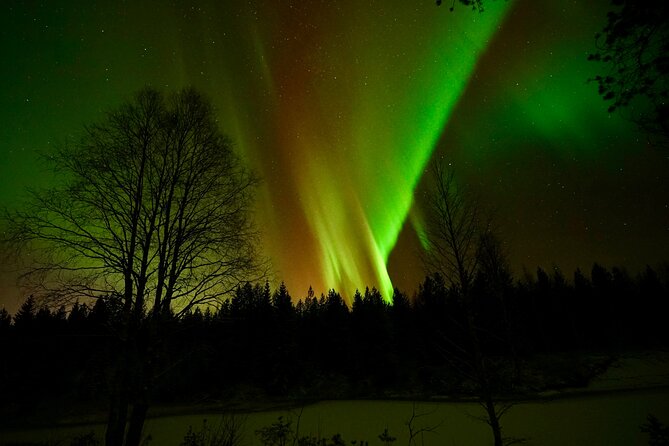Northern Lights Trip to a Magical Place in Lapland - What the price of $119.09 includes in practical terms
