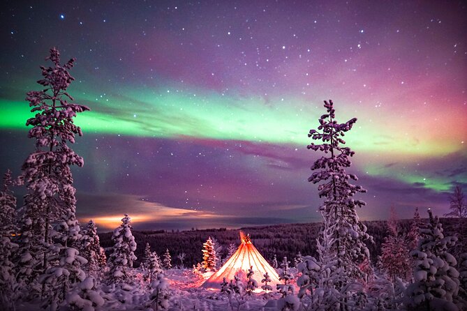 Northern Lights Wilderness Small-Group Tour from Rovaniemi - What the Aurora photography adds
