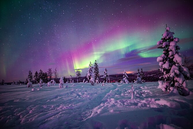 Northern Lights Wilderness Small-Group Tour from Rovaniemi - Clothing, comfort, and group size
