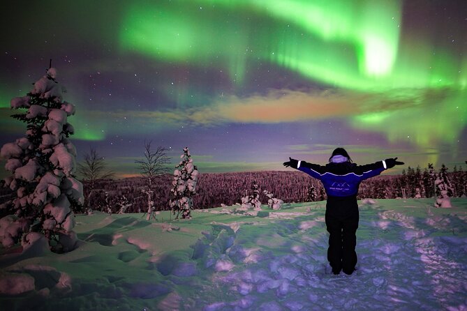 Northern Lights Wilderness Small-Group Tour from Rovaniemi - The fire stop is more than a warm-up