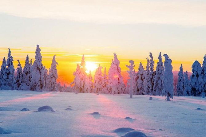 Ounasvaara and Ranua Zoo - The Ounasvaara walk and Rovaniemi view
