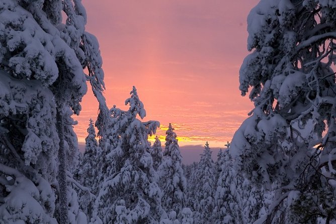 Ounasvaara and Ranua Zoo - What the guides add to the day