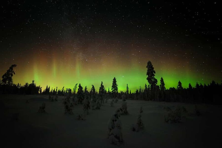 Polar Night Snowshoe Trek - Starting at Xwander Nordic in Ivalo