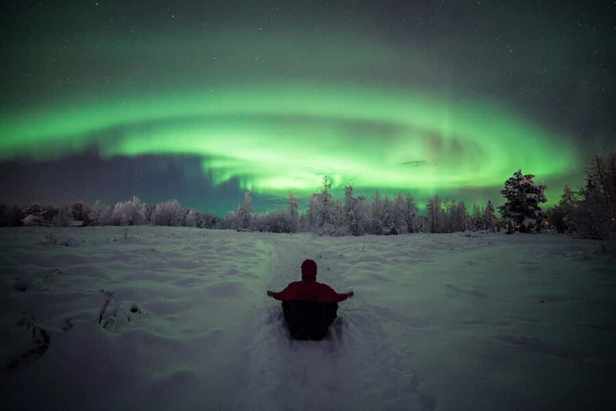 Polar Night Snowshoe Trek - Reading the snow for grouse and reindeer