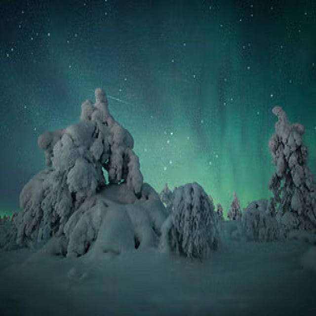 Polar Night Snowshoe Trek - Northern Lights are a possibility, not a promise