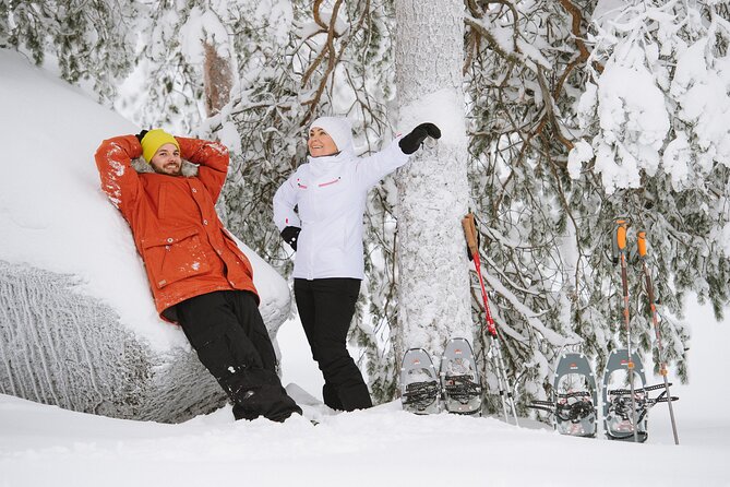 Premium Snowshoeing in Pyhä-Luosto National Park - What the guide adds to the day