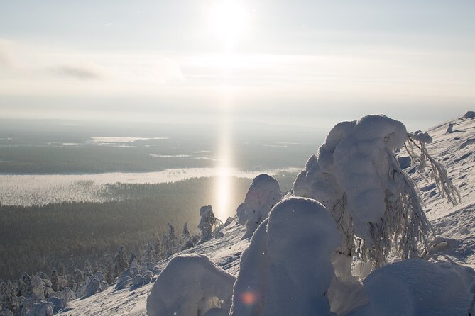 Premium Snowshoeing in Pyhä-Luosto National Park - Price, equipment, and winter clothing