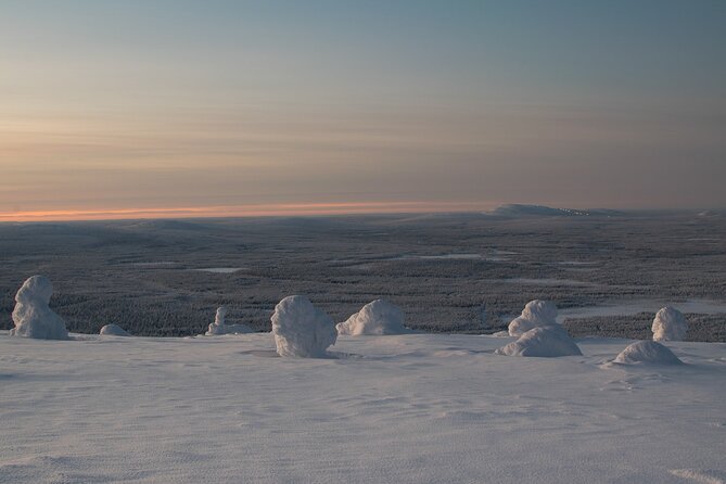 Premium Snowshoeing in Pyhä-Luosto National Park - Who will enjoy this snowshoe tour most