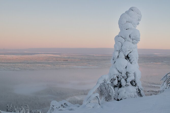 Premium Snowshoeing in Pyhä-Luosto National Park - Practical details before you set out