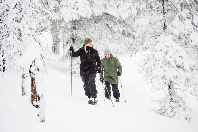 Premium Wilderness Skiing in Pyhä-Luosto National Park - Key points to know before you go