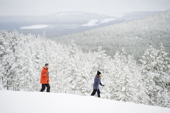 Premium Wilderness Skiing in Pyhä-Luosto National Park - Learning to glide through the forest