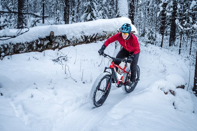 Private Electric Fat Bike Winter Tour in Rovaniemi - From café comfort to a proper winter ride