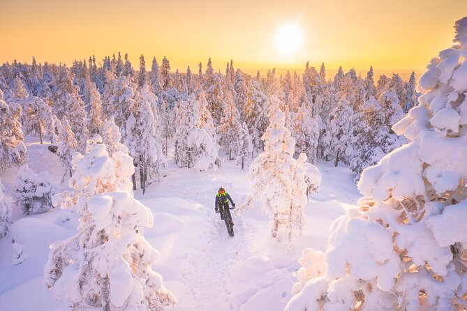 Private Electric Fat Bike Winter Tour in Rovaniemi - Ounasvaara gives you a choice of difficulty
