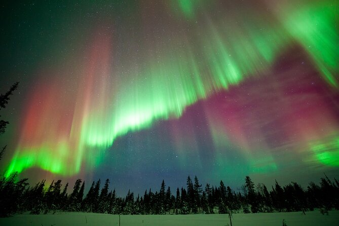Private Group: Northern Lights Hunt 4x4 SUV with Aurora guarantee - The guide makes the difference