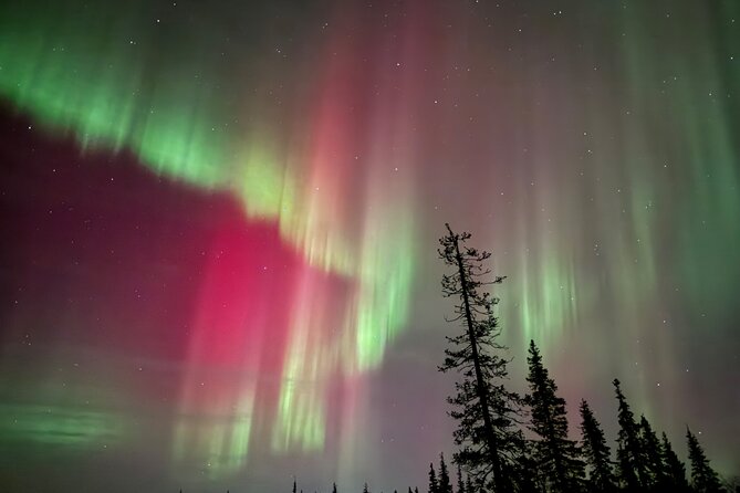 Private Group: Northern Lights Hunt 4x4 SUV with Aurora guarantee - Is $324.41 per person good value?