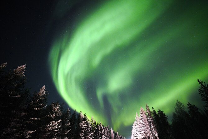 Private Group: Northern Lights Hunt 4x4 SUV with Aurora guarantee - Why the route is never fixed