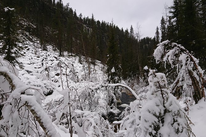 Private Korouoma Canyon Tour - Frozen waterfalls and changing winter conditions