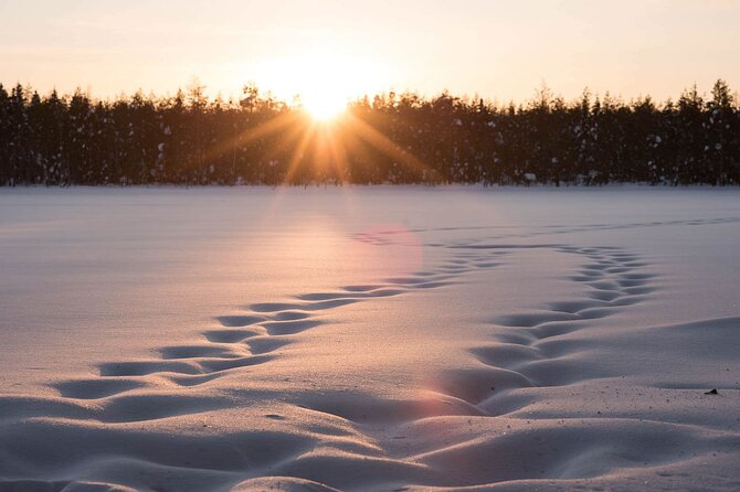 Private Lappish evening in the wilderness with traditional sauna and dinner - Pickup from central Rovaniemi