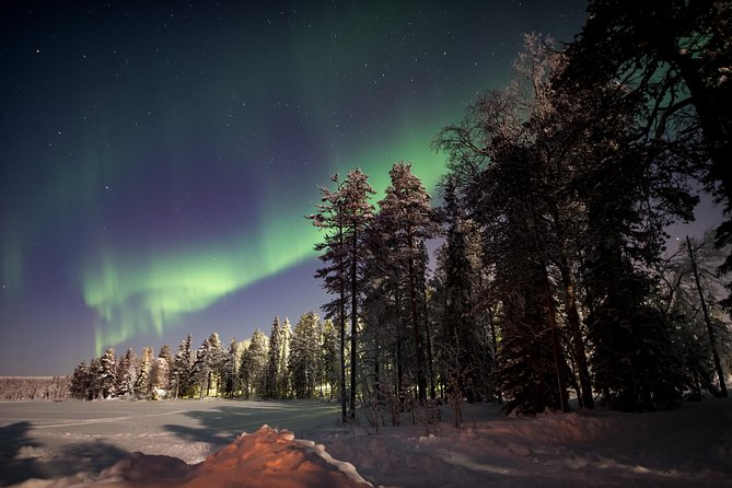 Private Northern Lights Hunting Expedition - Is $216.74 good value?