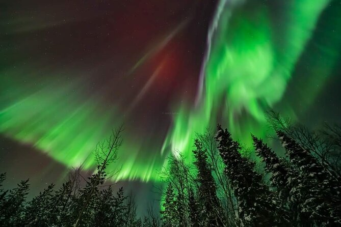 Private Northern Lights Hunting Tour Rovaniemi - Booking value at $192.25 per person
