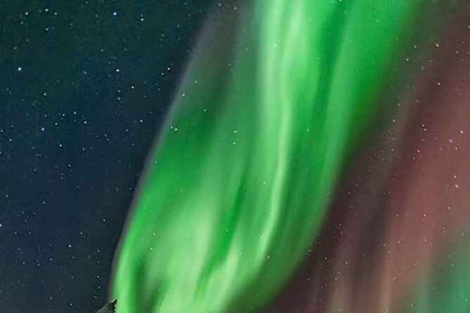 Private Northern Lights Hunting Tour Rovaniemi - What the Aurora search is really like