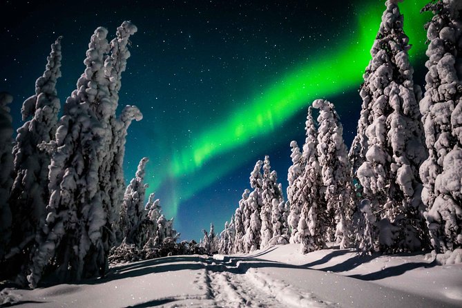 Private Northern Lights photography tour in Rovaniemi - Warm layers, boots, and a private vehicle