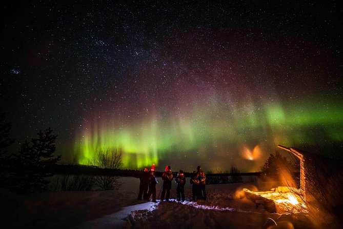 Private Northern Lights photography tour in Rovaniemi - How the guide shapes the night