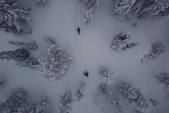 Private Northern Lights Tour With Skis Or Snowshoes in Pyhä - A quiet way to search for the Northern Lights