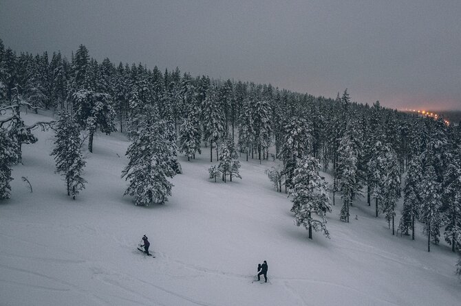 Private Northern Lights Tour With Skis Or Snowshoes in Pyhä - Cold, timing, and physical effort