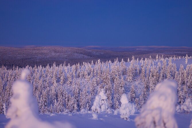 Private Snowshoe or Ski Adventure in Lapland from Rovaniemi - Choosing Between Snowshoes and Skis