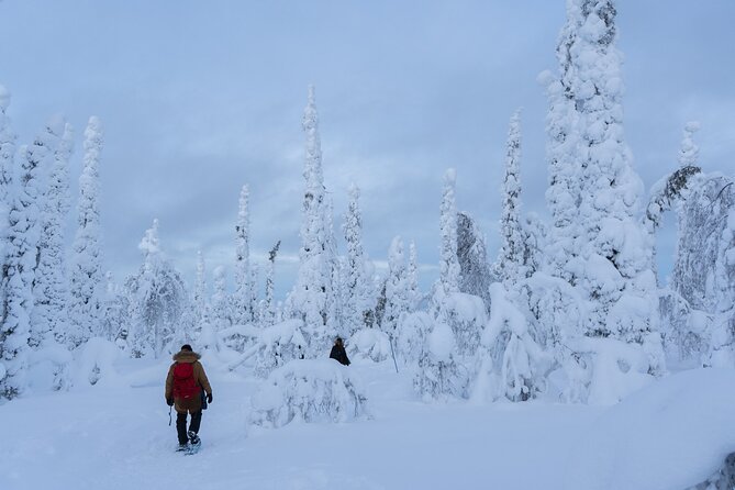 Private Snowshoe or Ski Adventure in Lapland from Rovaniemi - What the Private Guide Adds