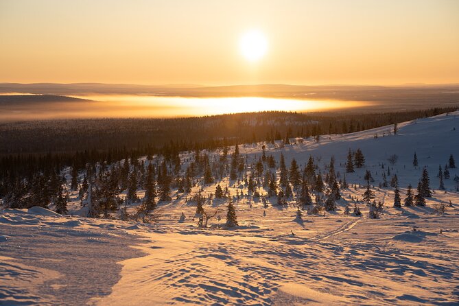 Private Snowshoe or Ski Adventure in Lapland from Rovaniemi - Weather, Fitness, and Practical Limits