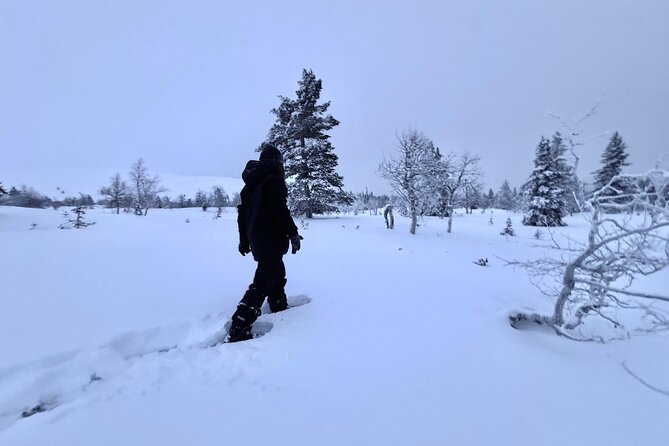 Private: Snowshoeing Safari in spectacular National Park - Why Pallas-Yllastunturi makes this more than a snow walk