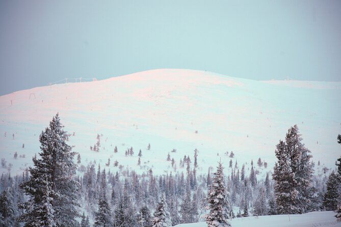 Private: Snowshoeing Safari in spectacular National Park - Getting used to snowshoes on the Pallas fells