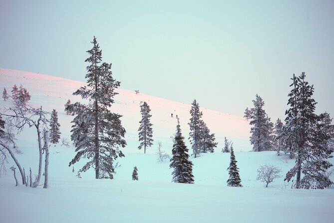 Private: Snowshoeing Safari in spectacular National Park - What the guide adds to a private outing