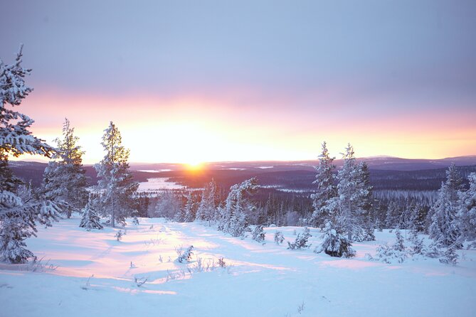 Private: Snowshoeing Safari in spectacular National Park - A private start from your Levi accommodation