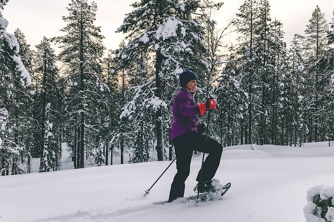 Private Snowshoeing Tour In Pyhätunturi With A Local Guide - Starting at Pyhätunturi with snowshoes