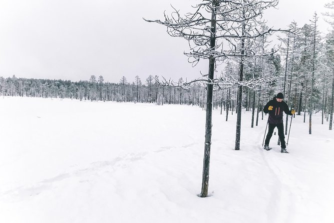 Private Snowshoeing Tour In Pyhätunturi With A Local Guide - Who will enjoy this tour most?