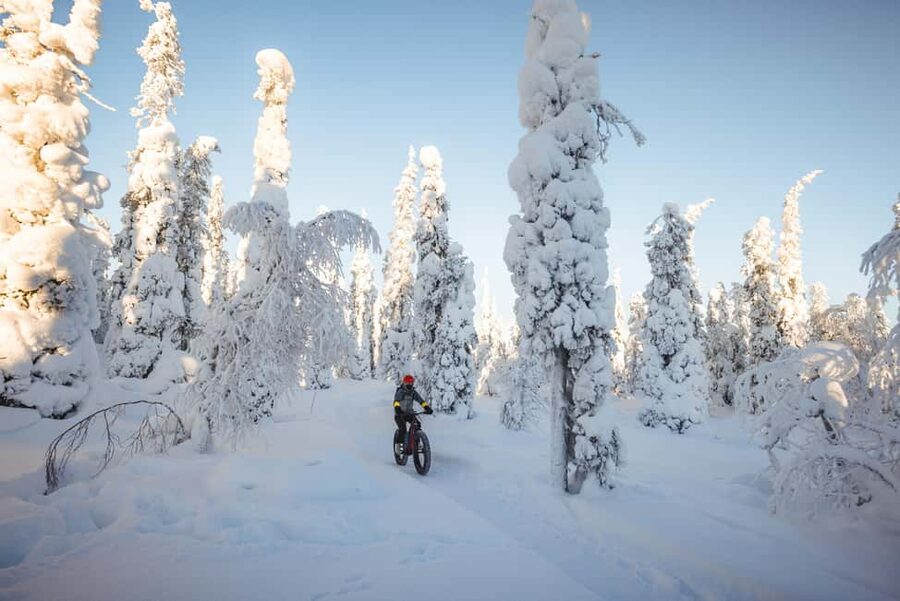 Pyhätunturi: Electric Fatbike Tour in Finnish Lapland - The value of the $133 price