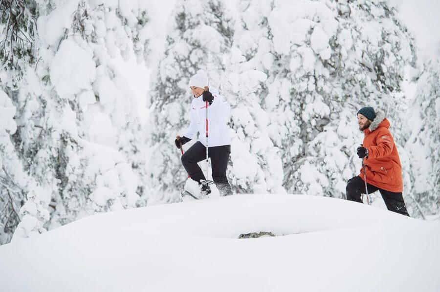 Pyhätunturi: Scenic Snowshoeing Tour in Finnish Lapland - Why photographers should bring a camera